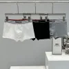 Hochwertige Balenciaga Unterwäsche Schwarz Baumwolle Luxus