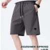 Premium Descente Shorts Grau Seide Solid Luxury