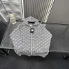 Hochwertiger Louis Vuitton Mantel Grau Strick Jacquard Kollektion