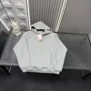 Hochwertige Dior Sweatshirts Grau Logo Luxus