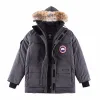 Premium Qualität Canada Goose Jacken Grau Fleece Klassischer Stil