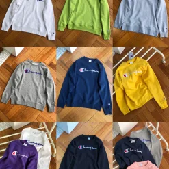 Hochwertige Champion Hoodie-Kollektion aus Baumwollstickerei