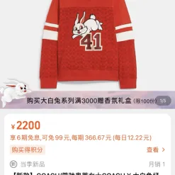 Luxus-Kapuzenpullover von Coach in Weiß, klassische Kollektion