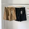 Bestseller Carhartt Shorts Canvas Classic Luxury