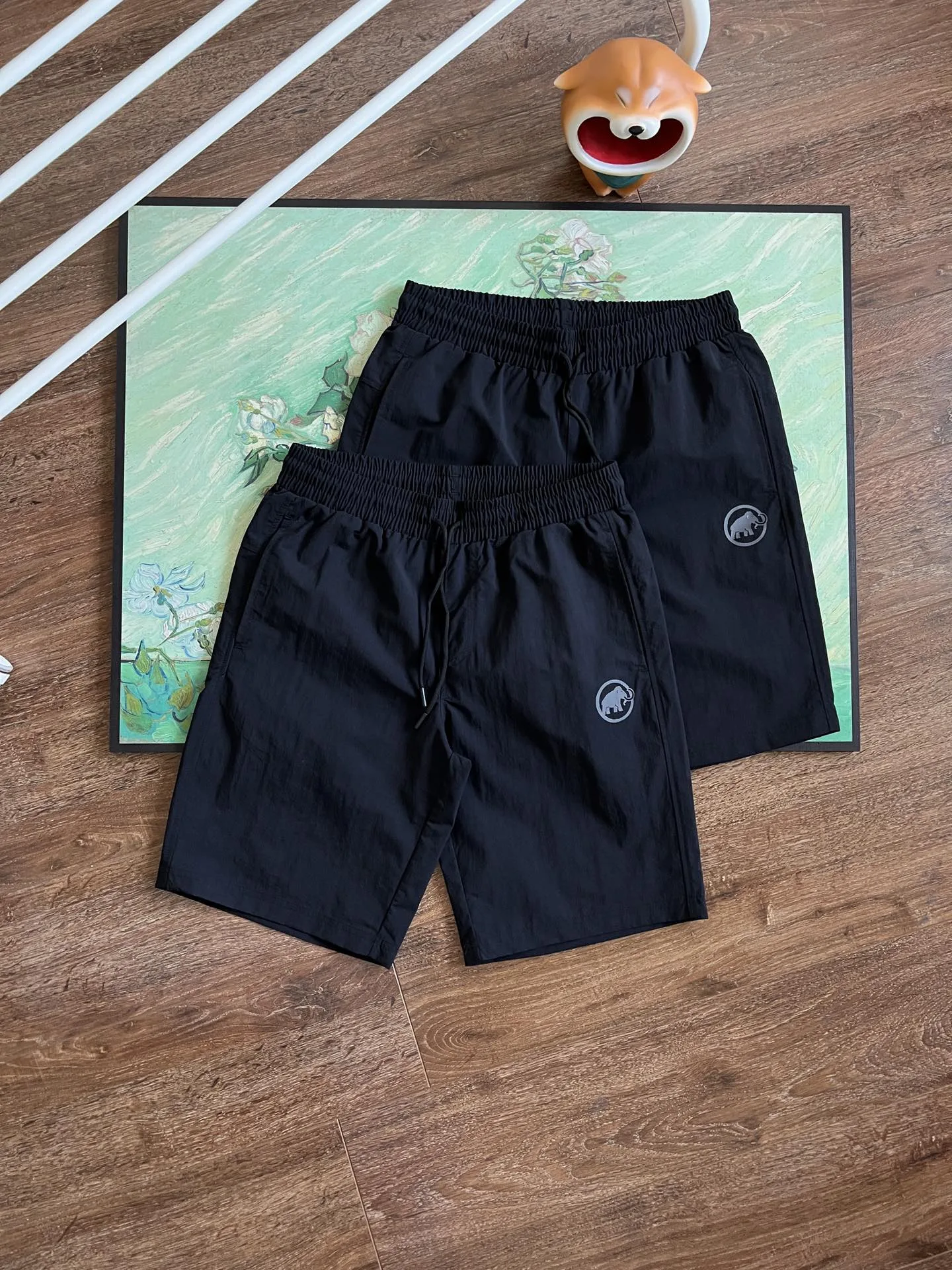 Mammut Shorts