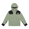 Premium Qualität The North Face Jacken Green Classic Collection