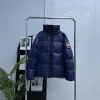 Premium Canada Goose Daunenjacke im Weiß-Stil