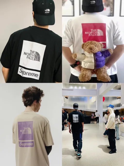 Premium The North Face Kurzarm-Kollektion mit weißem Druck
