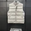 Bestseller Dior Daunenjacken Silber Lederdruck Luxus