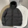 Hochwertige Moncler Daunenjacken Grau Classic Luxury