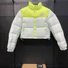 Luxus-Daunenjacke von The North Face im weißen Logo-Stil