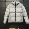 Premium Daunenjacken von The North Face im roten Logo-Stil