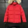 Premium Qualität Canada Goose Daunenjacke Rot Polyester Bestickt Luxus