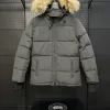 Premium Canada Goose Daunenjacke Grau Polyester Stickerei Luxus