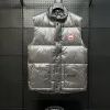 Premium Qualität Canada Goose Daunenjacken Grau Klassischer Stil