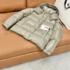Luxus-Moncler-Jacken im Logo-Stil