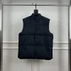 Premium Dior Daunenjacken Kollektion