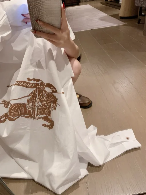 Luxus-Burberry-Hemd im blauen bestickten Stil