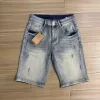 Hochwertige Burberry-Shorts aus Denim der klassischen Kollektion