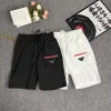 Hochwertige Prada Shorts Nylon Logo Luxus