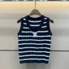 Luxuriöse Celine Weste, blau, gestrickt, bestickt