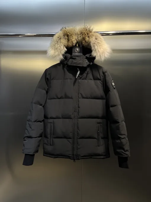 Premium Qualität Canada Goose Jacken Weiß Fleece Klassischer Luxus