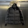 Hochwertige Canada Goose Jacken aus weißem Fleece im klassischen Stil