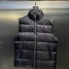 Premium Dior Daunenjacken Gold Lederdruck Luxus