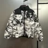 Premiumqualität The North Face Daunenjacke im klassischen Stil